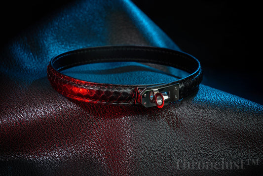 The Psychology of Wearing a Collar – Power, Belonging, and Trust