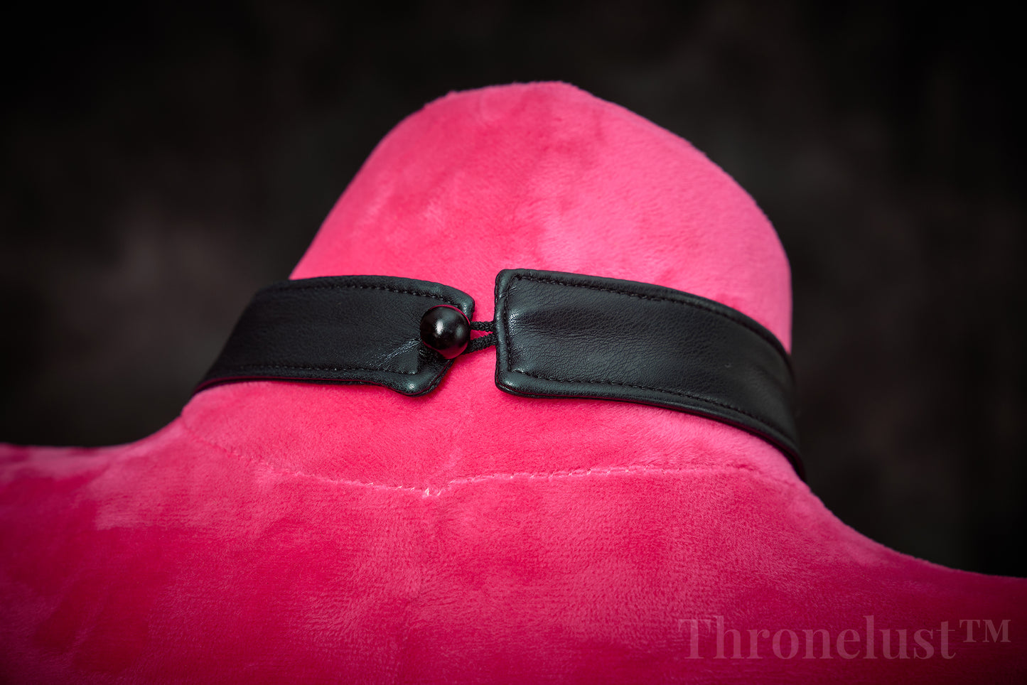 PU & Mesh Seductive Lingerie | Thronelust™