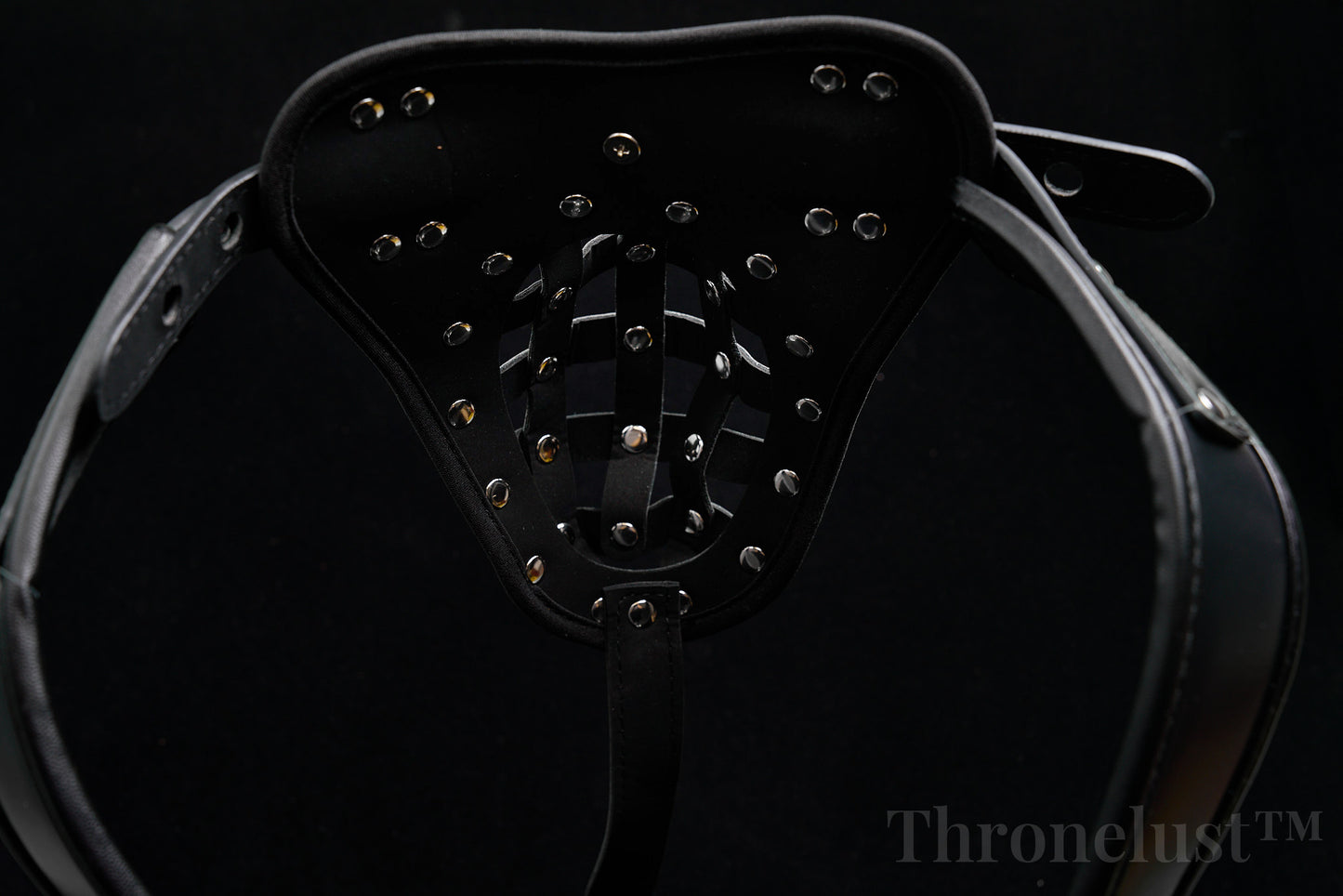 PU Leather Male Chastity Belt with Lock – Adjustable Fetish Restraint Gear | BDSM Play