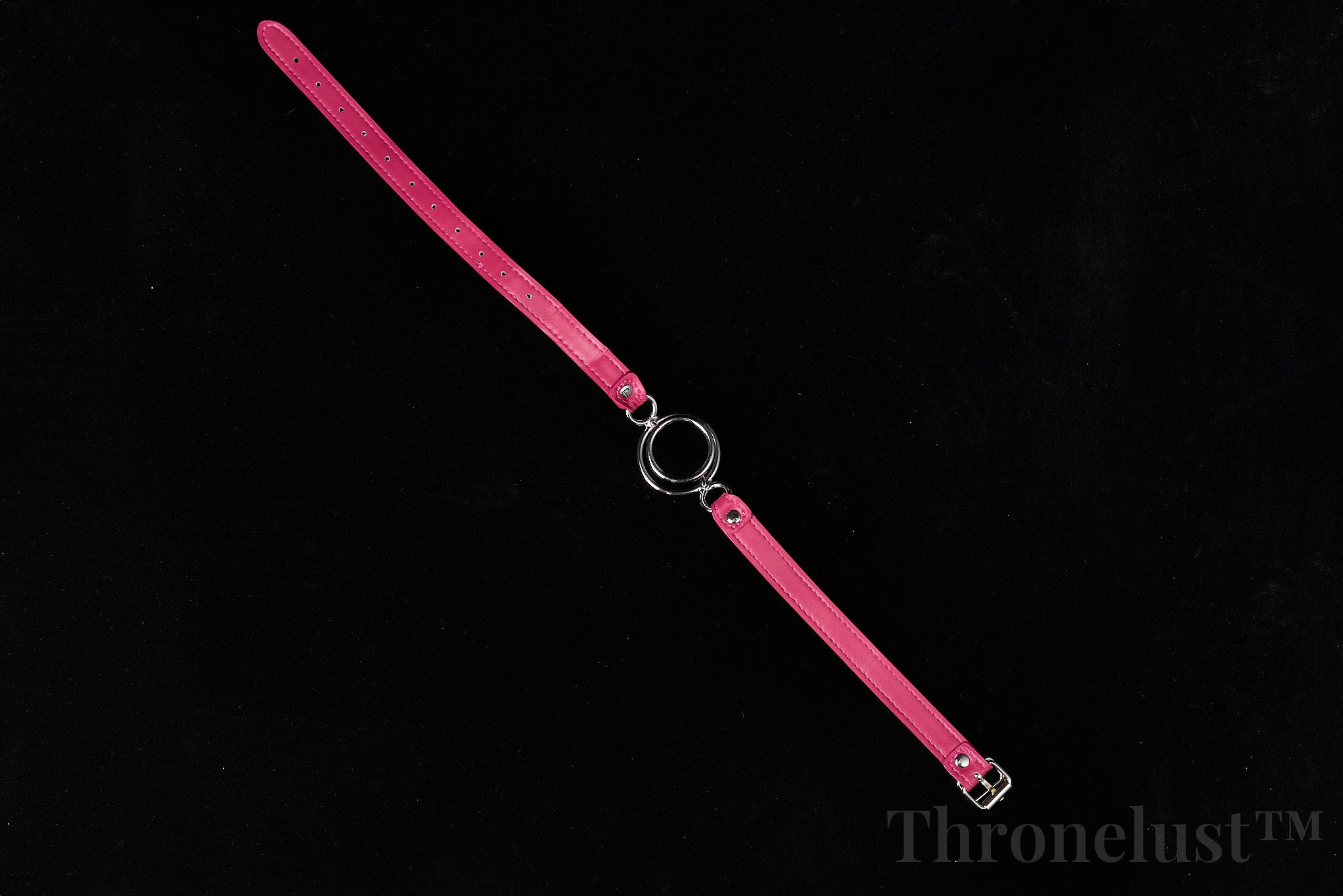 Adjustable Leather O-Ring Gag with Double Metal Rings – BDSM Mouth Restraint