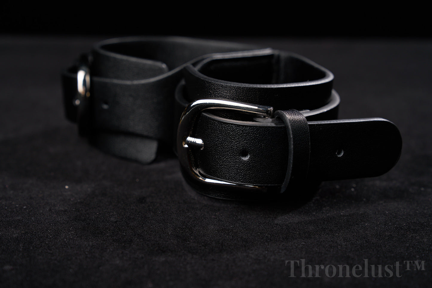 THRONELUST™ Obedience Set — 6-Piece Ritual Bundle (Black)