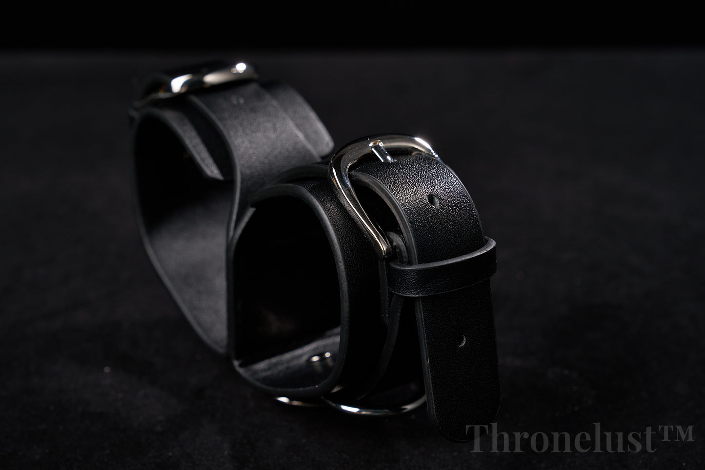 THRONELUST™ Obedience Set — 6-Piece Ritual Bundle (Black)