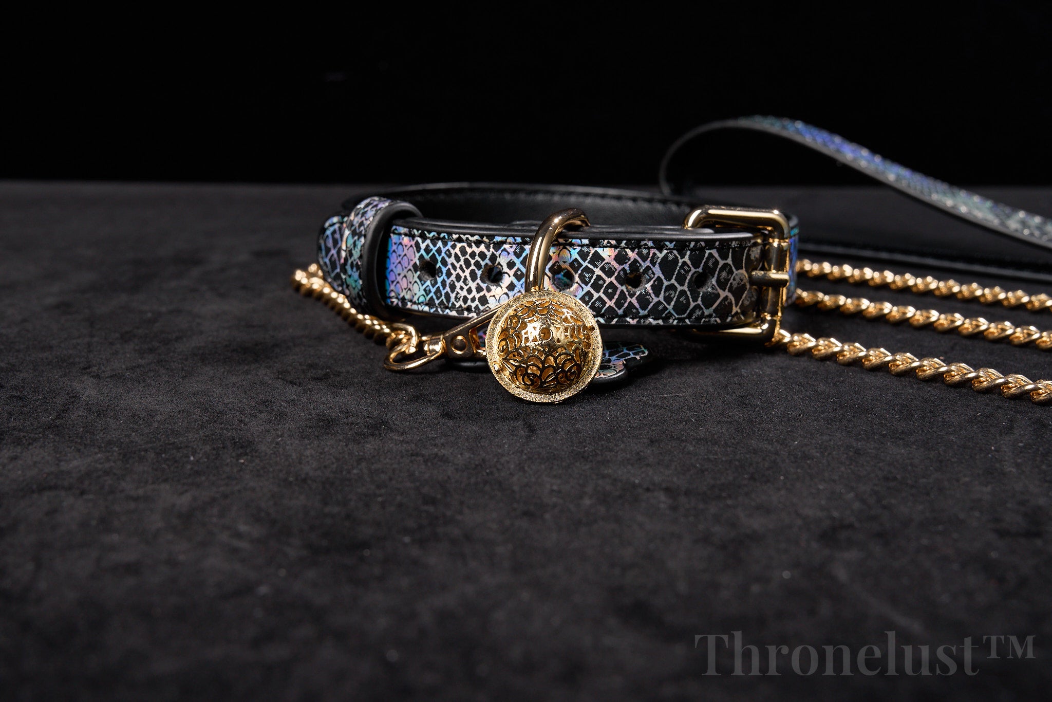 Snake-Pattern PU Leather Collar with Gold Chain Leash – Luxury BDSM Restraint | Thronelust™