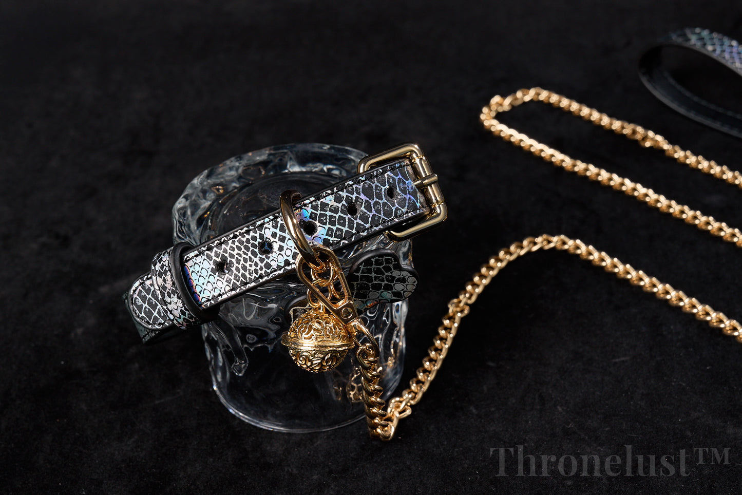 Snake-Pattern PU Leather Collar with Gold Chain Leash – Luxury BDSM Restraint | Thronelust™