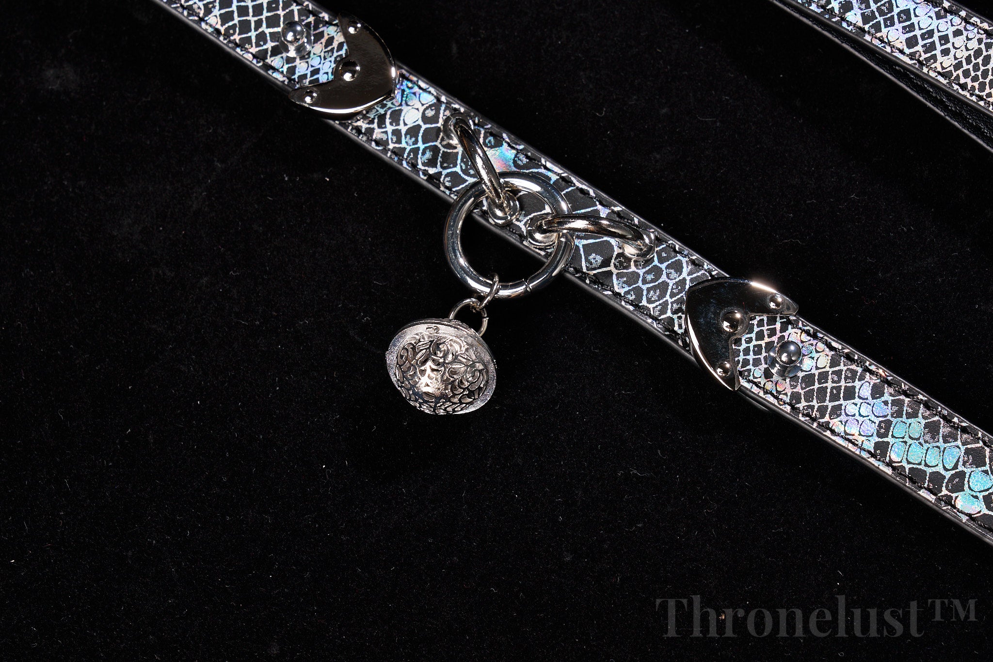 Snake-Pattern PU Leather Collar with Silver Chain Leash – Thronelust™ BDSM Puppy Play