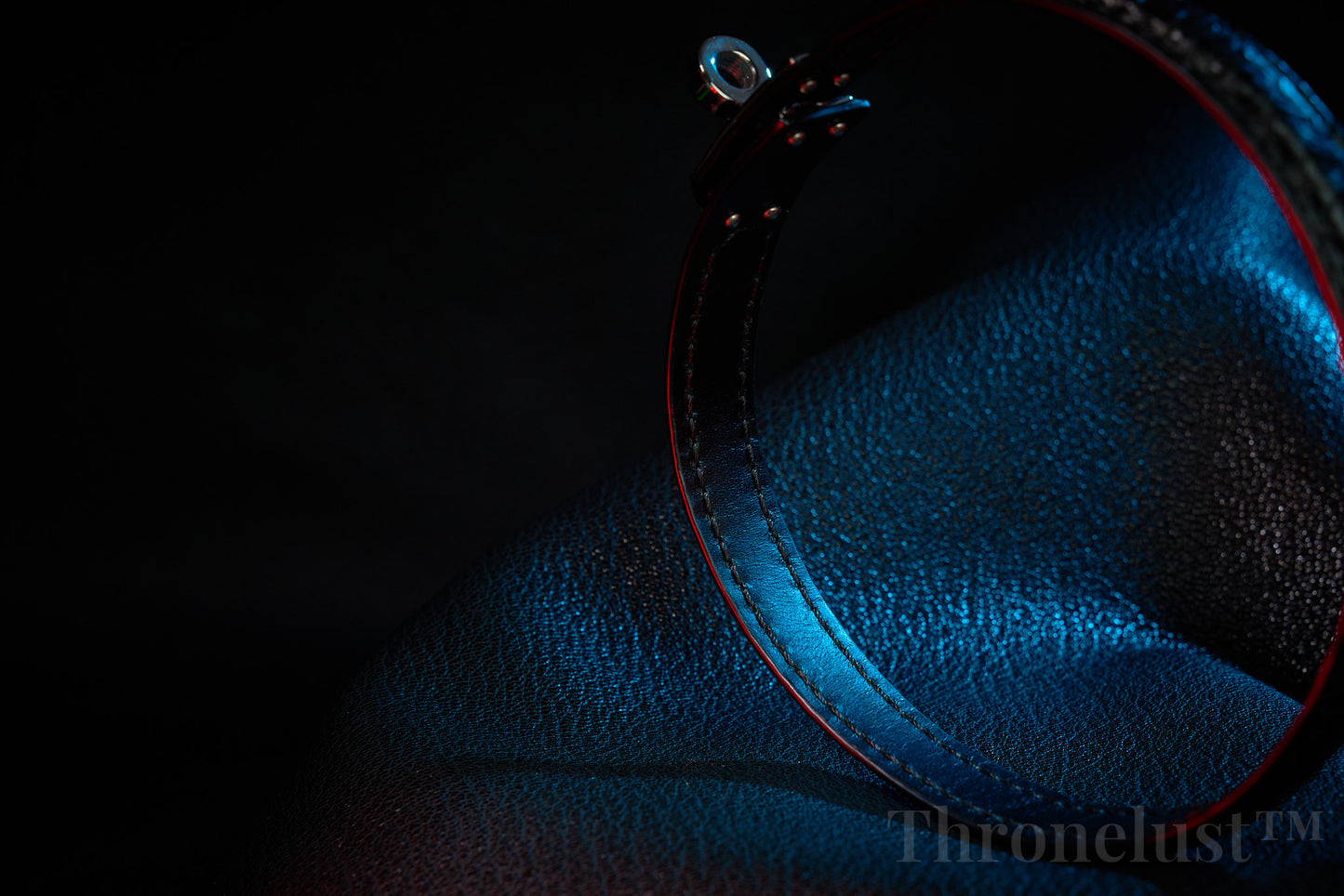 Thronelust Queen’s Atelier – Python Leather Collar (Custom Edition)