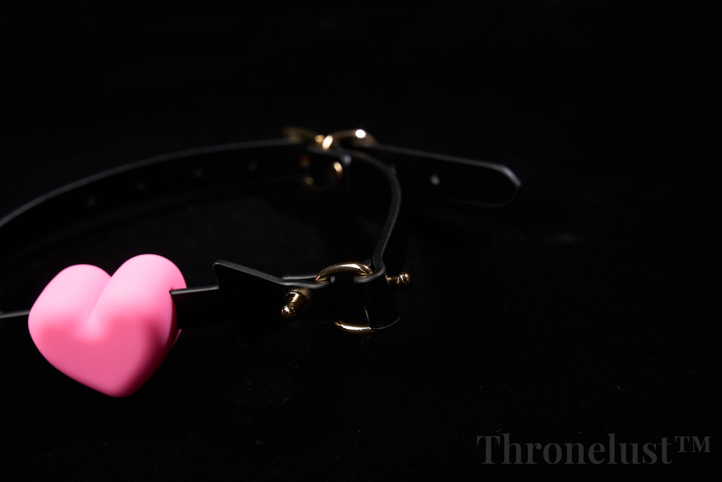 Heart-Shaped Collar with Leash – Adjustable PU Leather Restraint | Pink Edition | Fashion Accessory