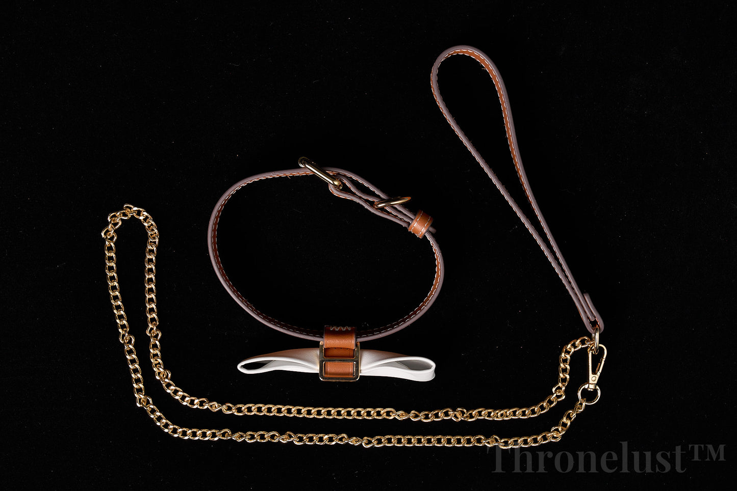 White Bowknot PU Leather Collar with Gold Leash – Adjustable BDSM Accessory