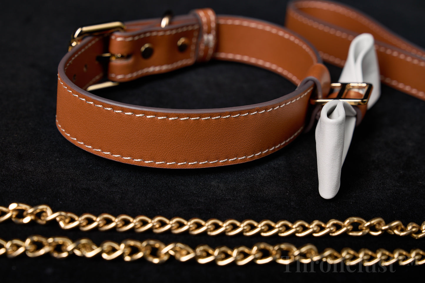 White Bowknot PU Leather Collar with Gold Leash – Adjustable BDSM Accessory