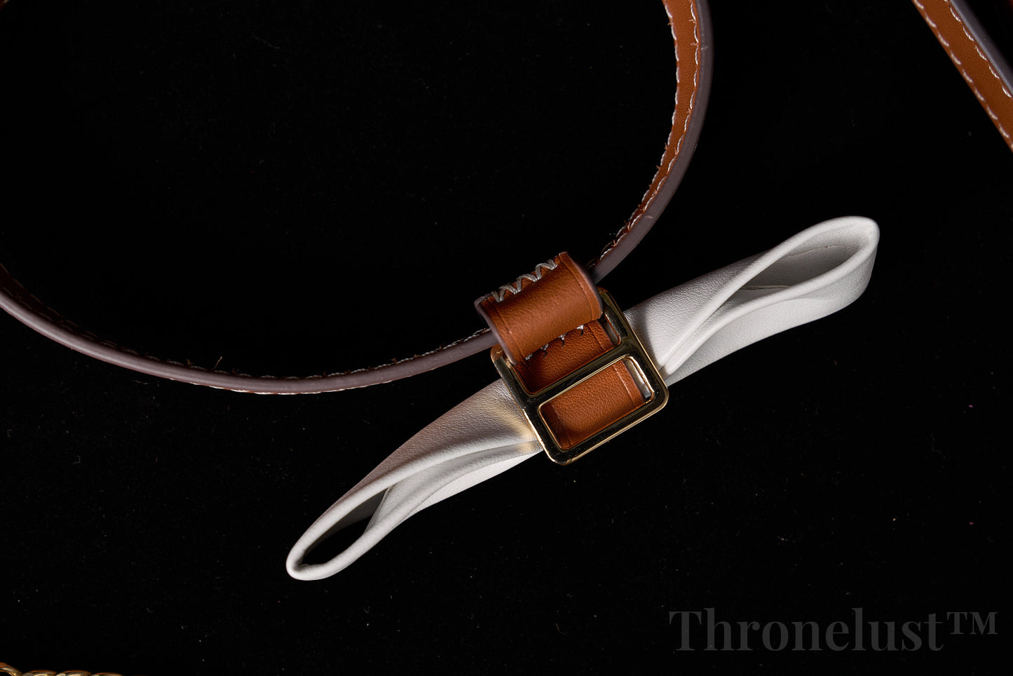 White Bowknot PU Leather Collar with Gold Leash – Adjustable BDSM Accessory