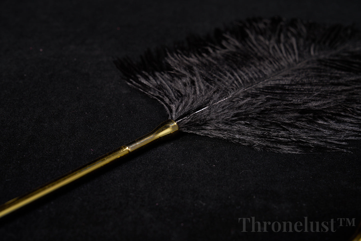 Golden Handle Feather Tickler & Chain Whip Set – Luxury BDSM Kit
