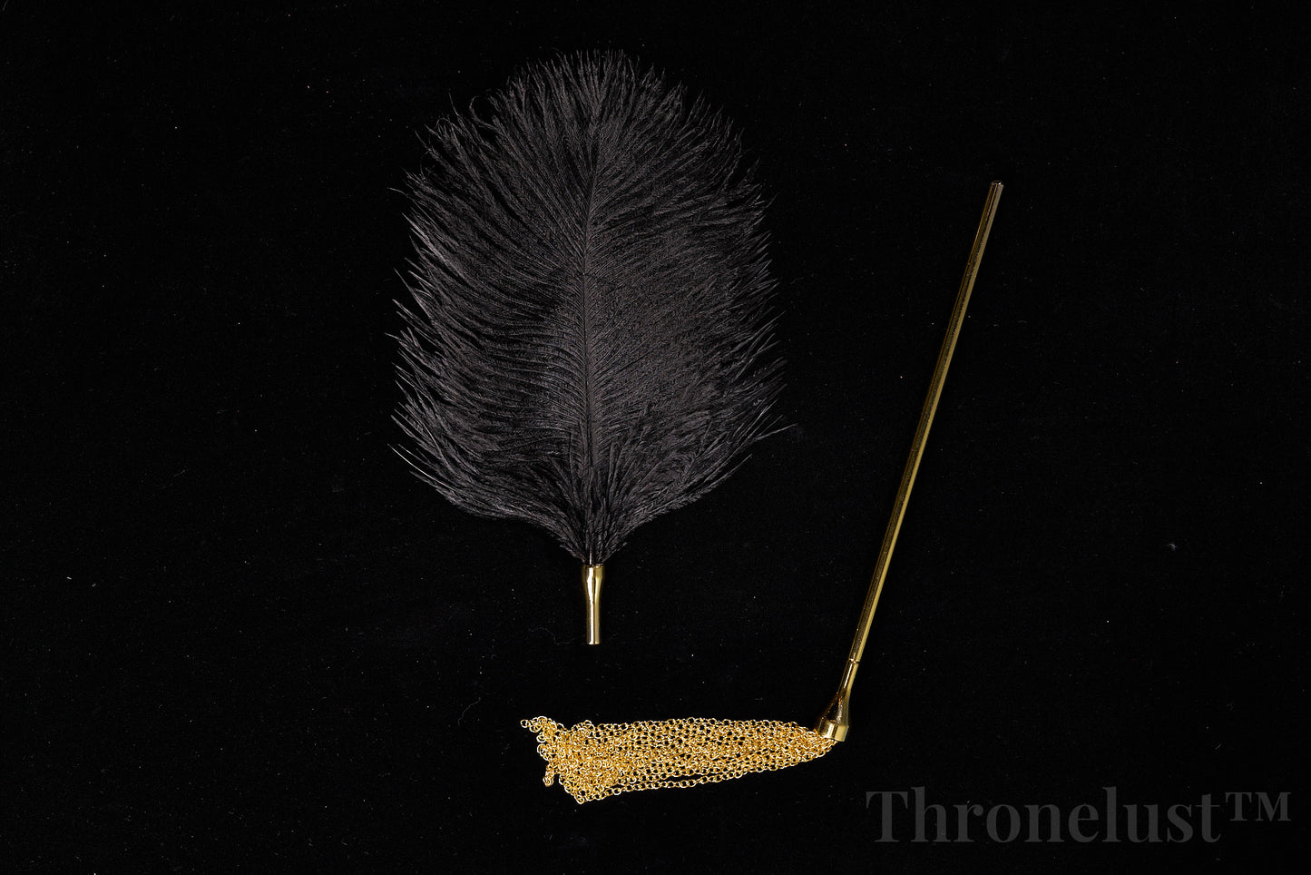 Golden Handle Feather Tickler & Chain Whip Set – Luxury BDSM Kit