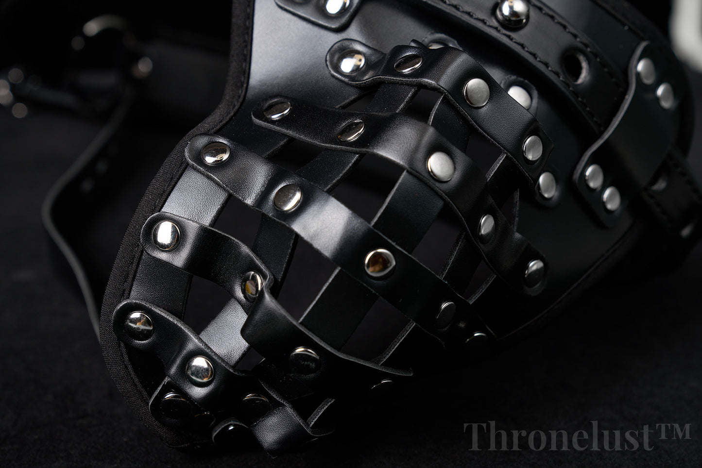 PU Leather Male Chastity Belt with Lock – Adjustable Fetish Restraint Gear | BDSM Play