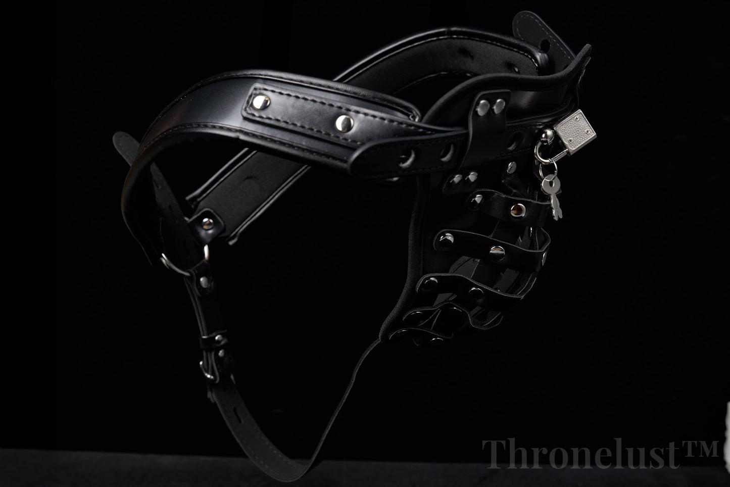 PU Leather Male Chastity Belt with Lock – Adjustable Fetish Restraint Gear | BDSM Play