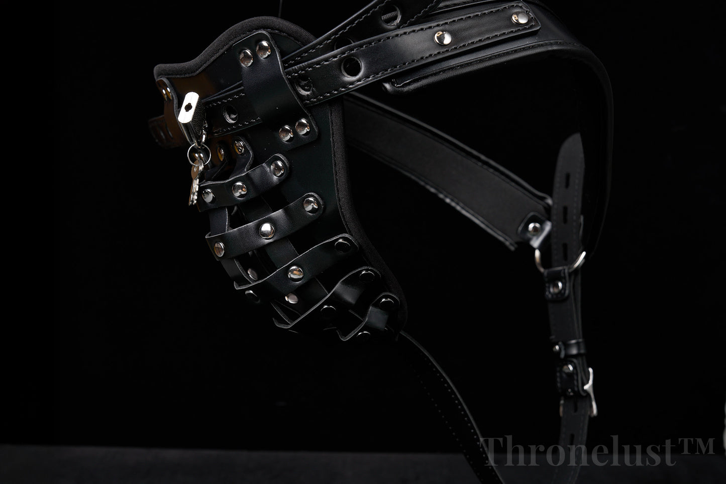 PU Leather Male Chastity Belt with Lock – Adjustable Fetish Restraint Gear | BDSM Play