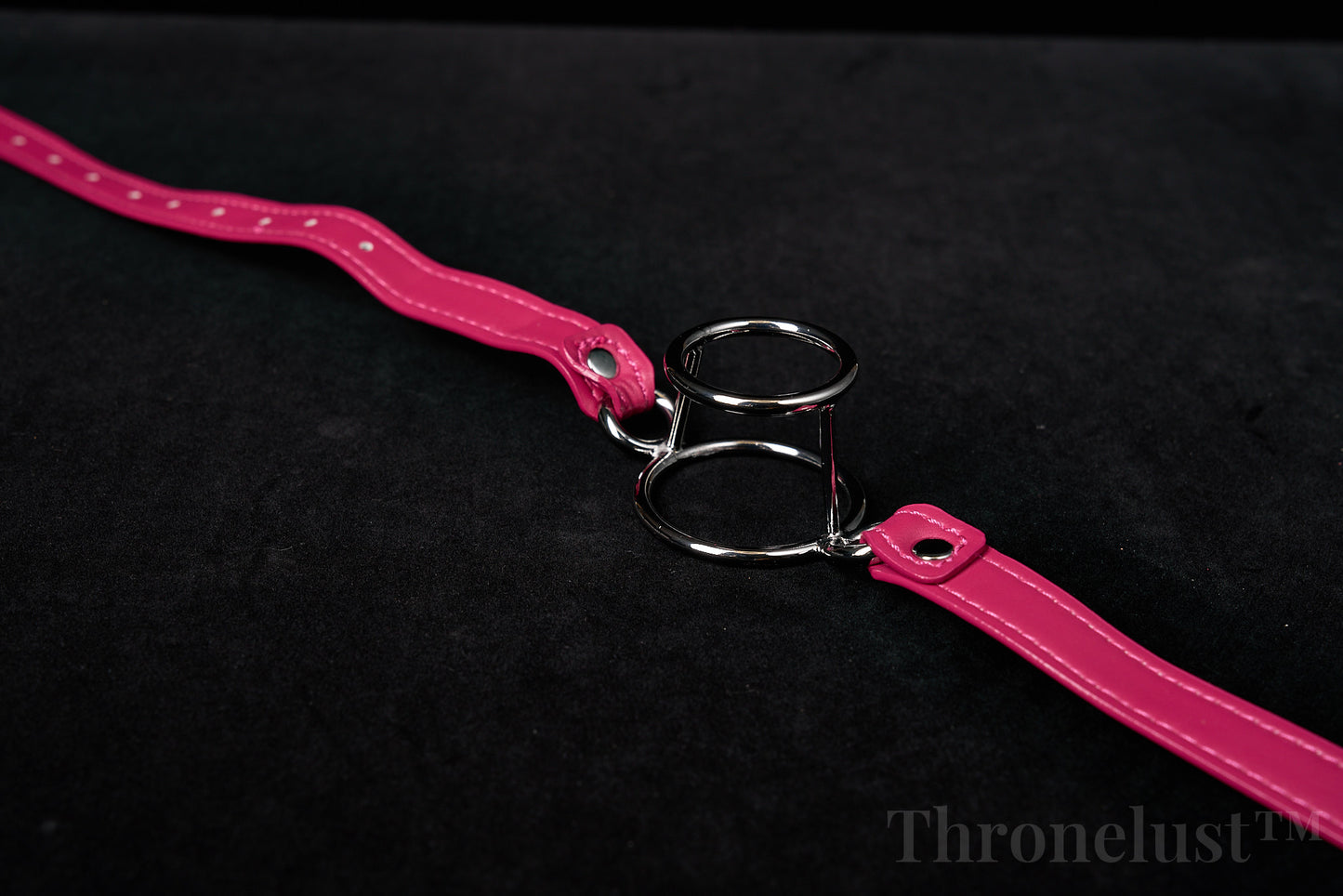 Adjustable Leather O-Ring Gag with Double Metal Rings – BDSM Mouth Restraint