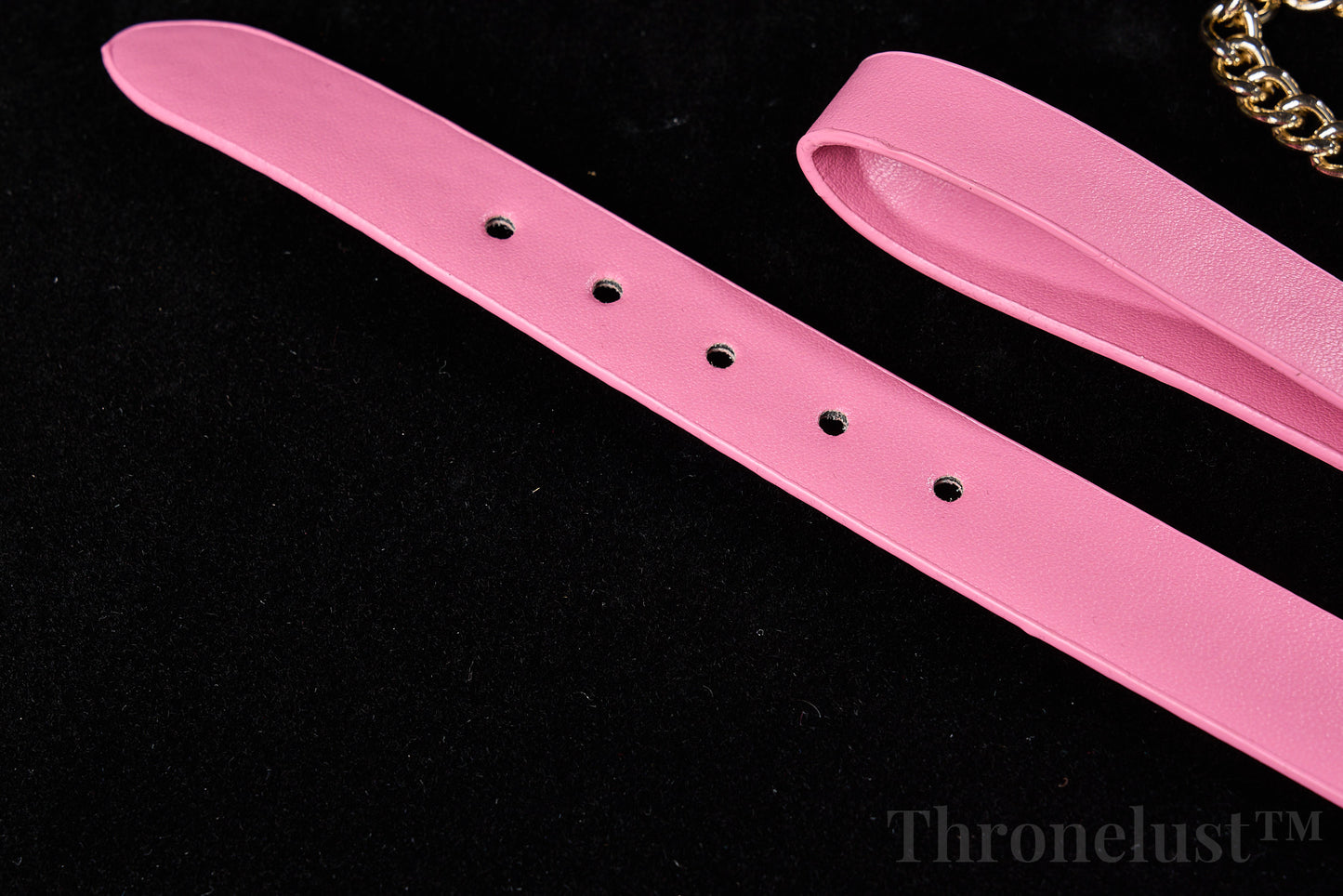 Heart-Ring PU Leather Collar with Chain Leash – Pink BDSM Restraint Accessory