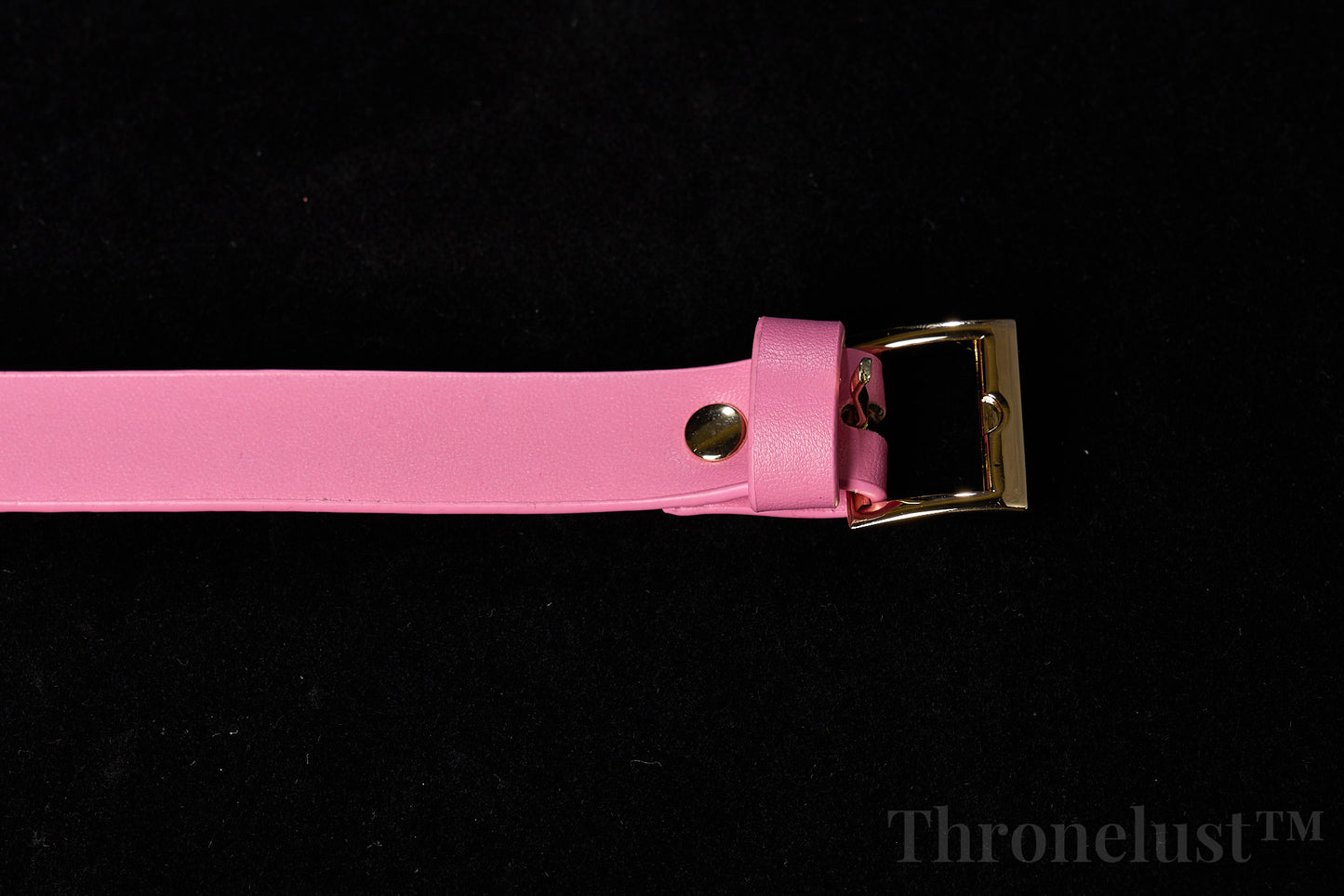 Heart-Ring PU Leather Collar with Chain Leash – Pink BDSM Restraint Accessory