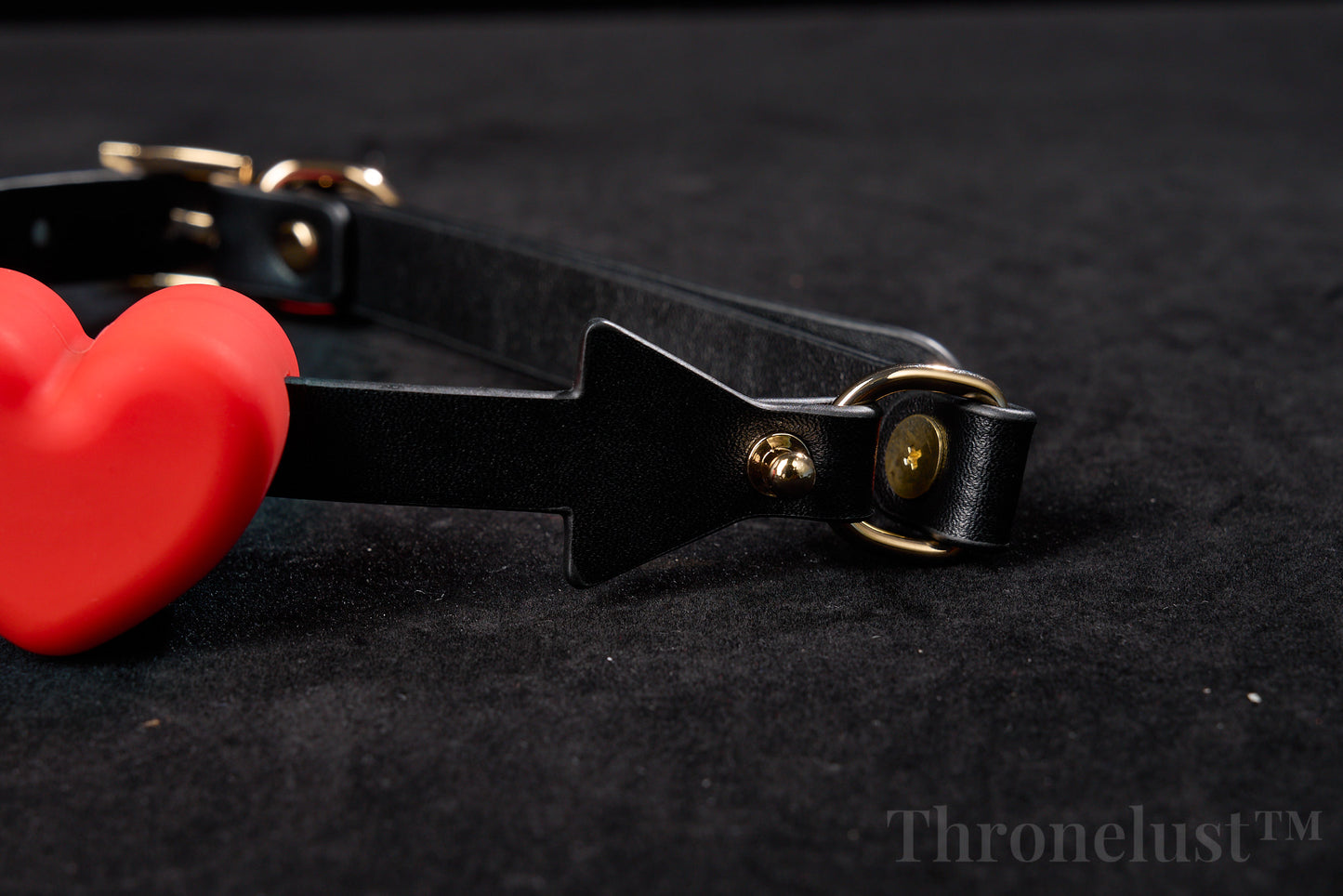 Heart-Shaped BDSM Collar with Leash – Adjustable PU Leather Restraint | Fashion Bondage Gear