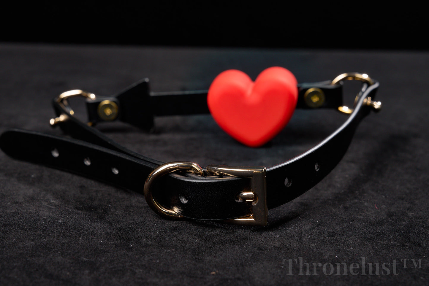 Heart-Shaped BDSM Collar with Leash – Adjustable PU Leather Restraint | Fashion Bondage Gear