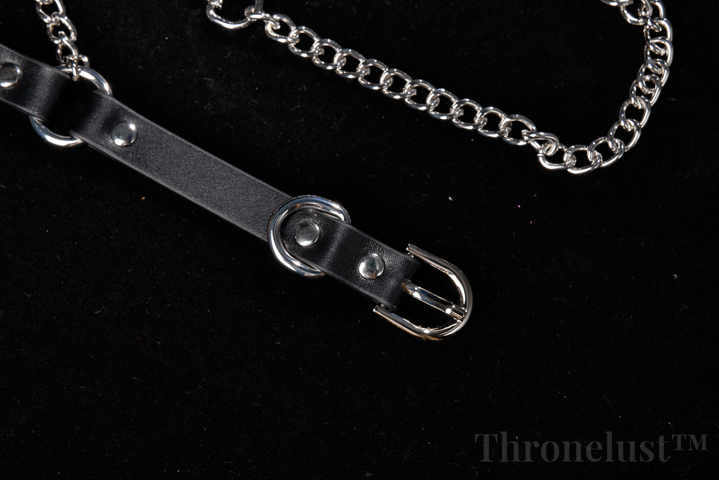 PU Leather Collar with Metal Chain Leash – Adjustable BDSM Restraint | Thronelust™