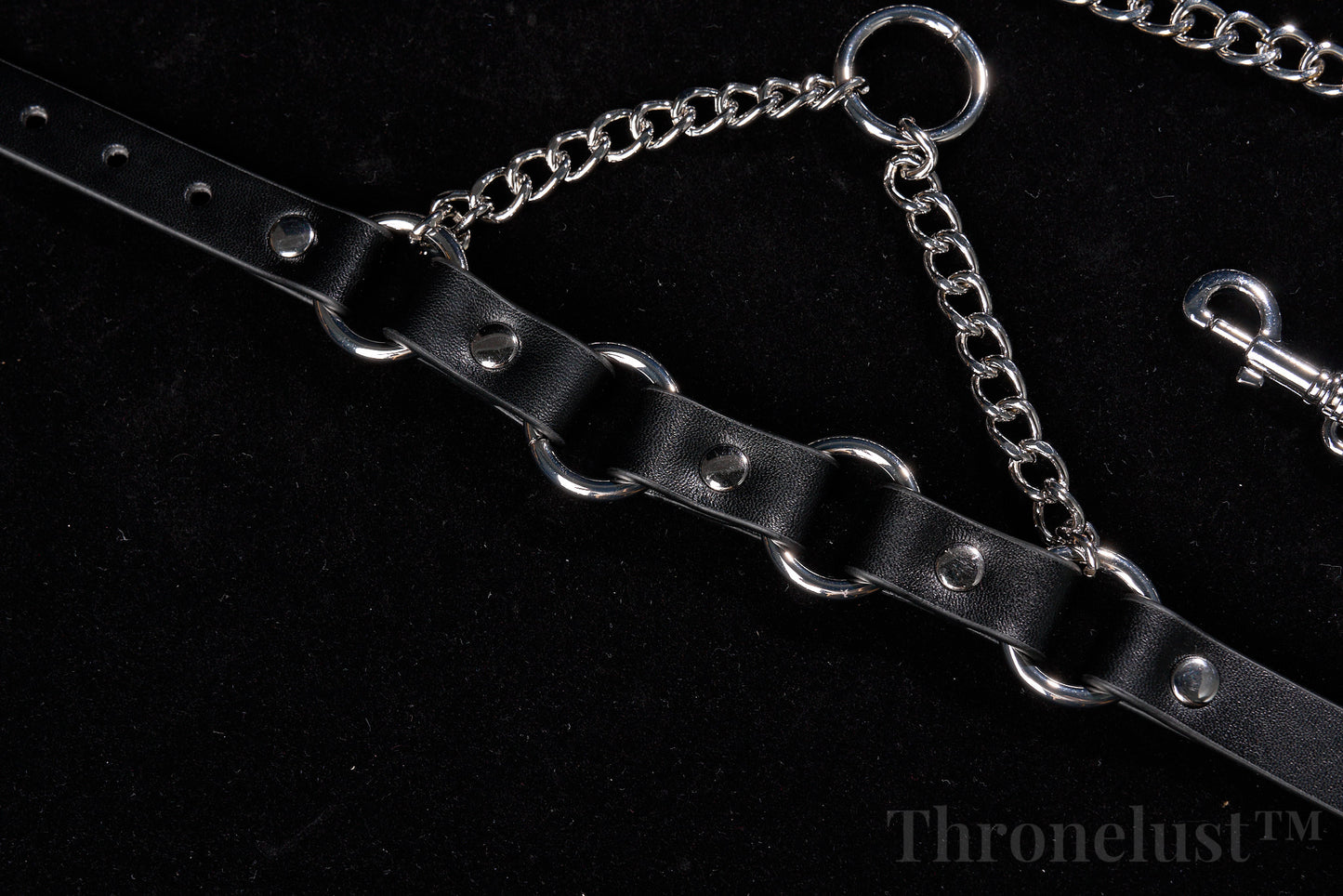 PU Leather Collar with Metal Chain Leash – Adjustable BDSM Restraint | Thronelust™