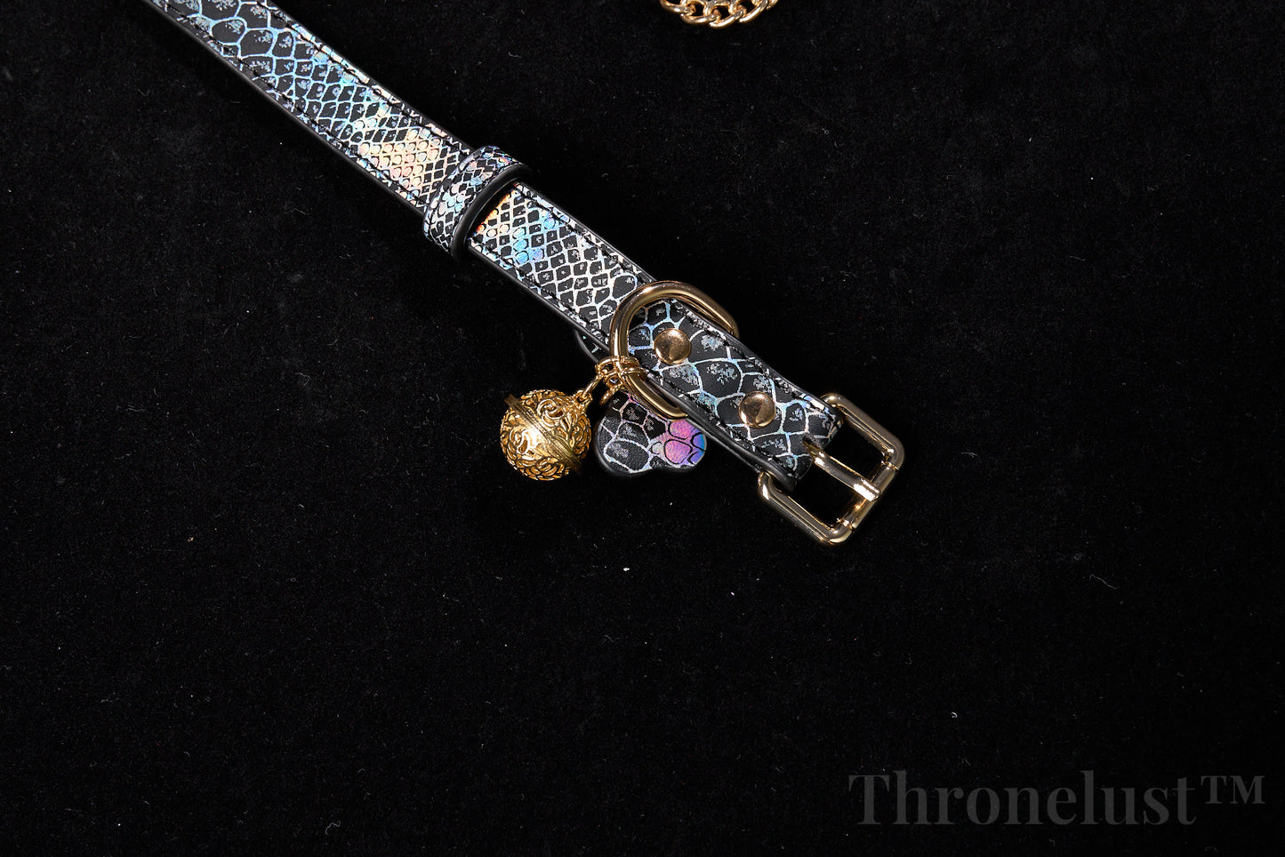 Snake-Pattern PU Leather Collar with Gold Chain Leash – Luxury BDSM Restraint | Thronelust™