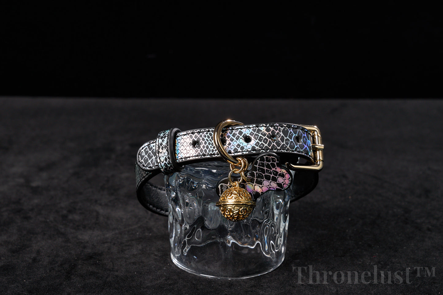 Snake-Pattern PU Leather Collar with Gold Chain Leash – Luxury BDSM Restraint | Thronelust™