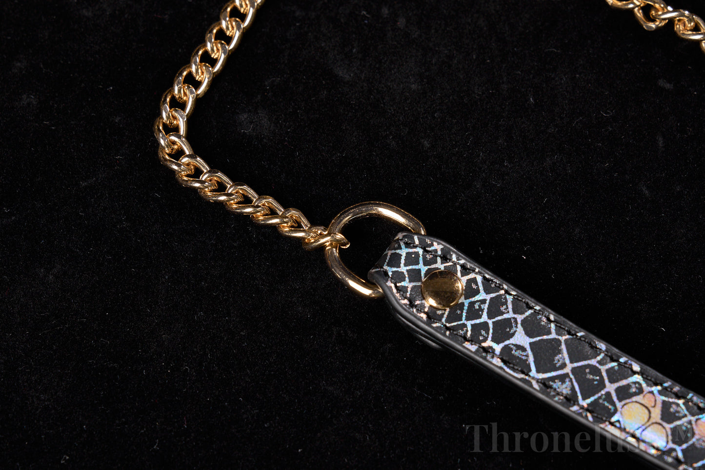 Snake-Pattern PU Leather Collar with Gold Chain Leash – Luxury BDSM Restraint | Thronelust™