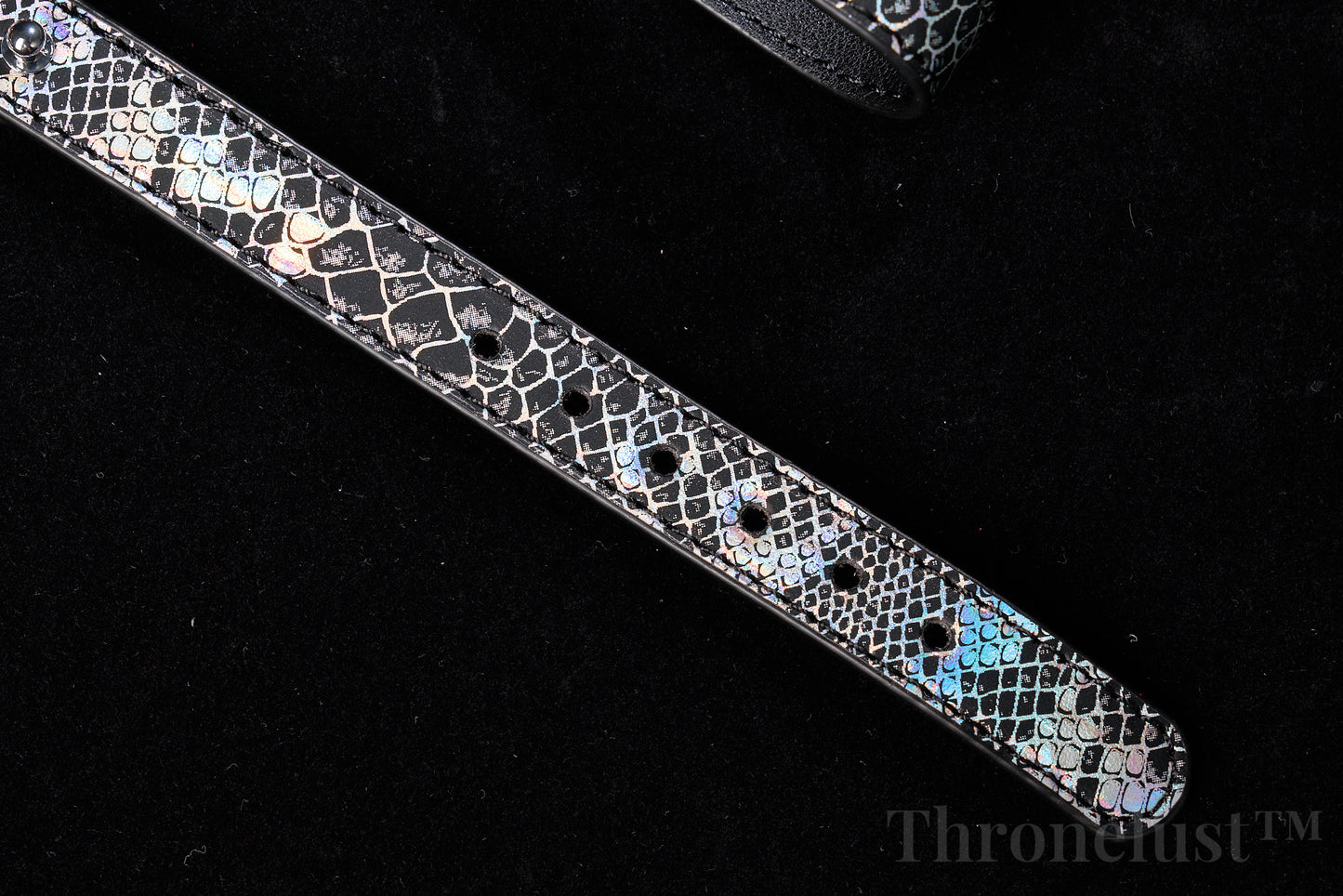 Snake-Pattern PU Leather Collar with Silver Chain Leash – Thronelust™ BDSM Puppy Play