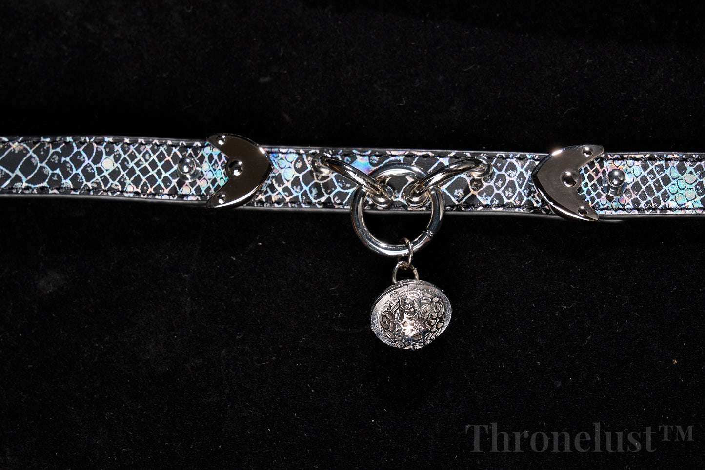 Snake-Pattern PU Leather Collar with Silver Chain Leash – Thronelust™ BDSM Puppy Play