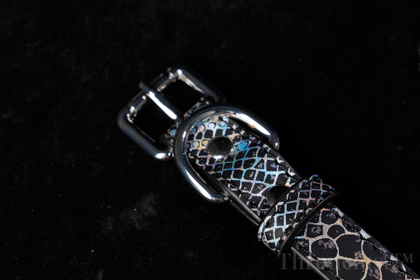 Snake-Pattern PU Leather Collar with Silver Chain Leash – Thronelust™ BDSM Puppy Play