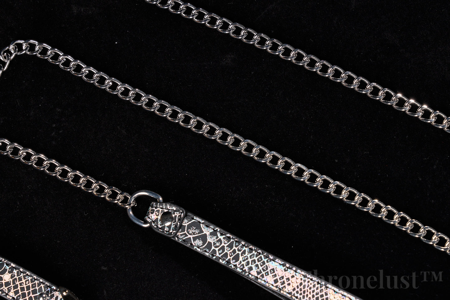 Snake-Pattern PU Leather Collar with Silver Chain Leash – Thronelust™ BDSM Puppy Play