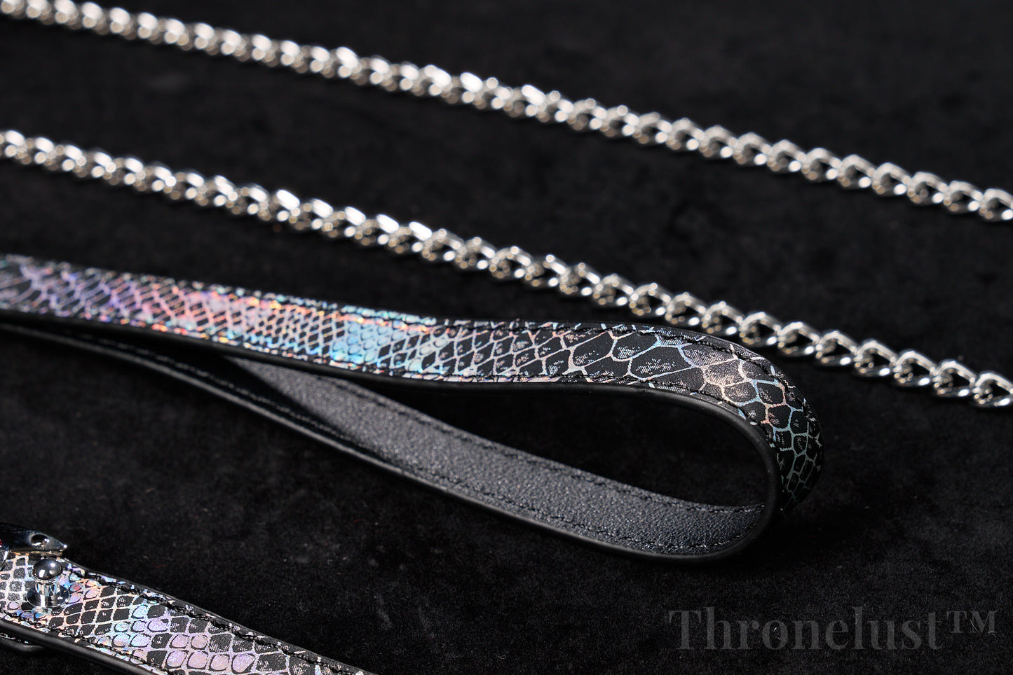 Snake-Pattern PU Leather Collar with Silver Chain Leash – Thronelust™ BDSM Puppy Play