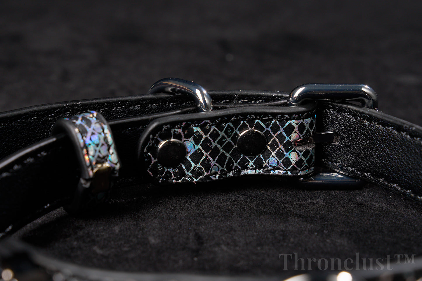 Snake-Pattern PU Leather Collar with Silver Chain Leash – Thronelust™ BDSM Puppy Play