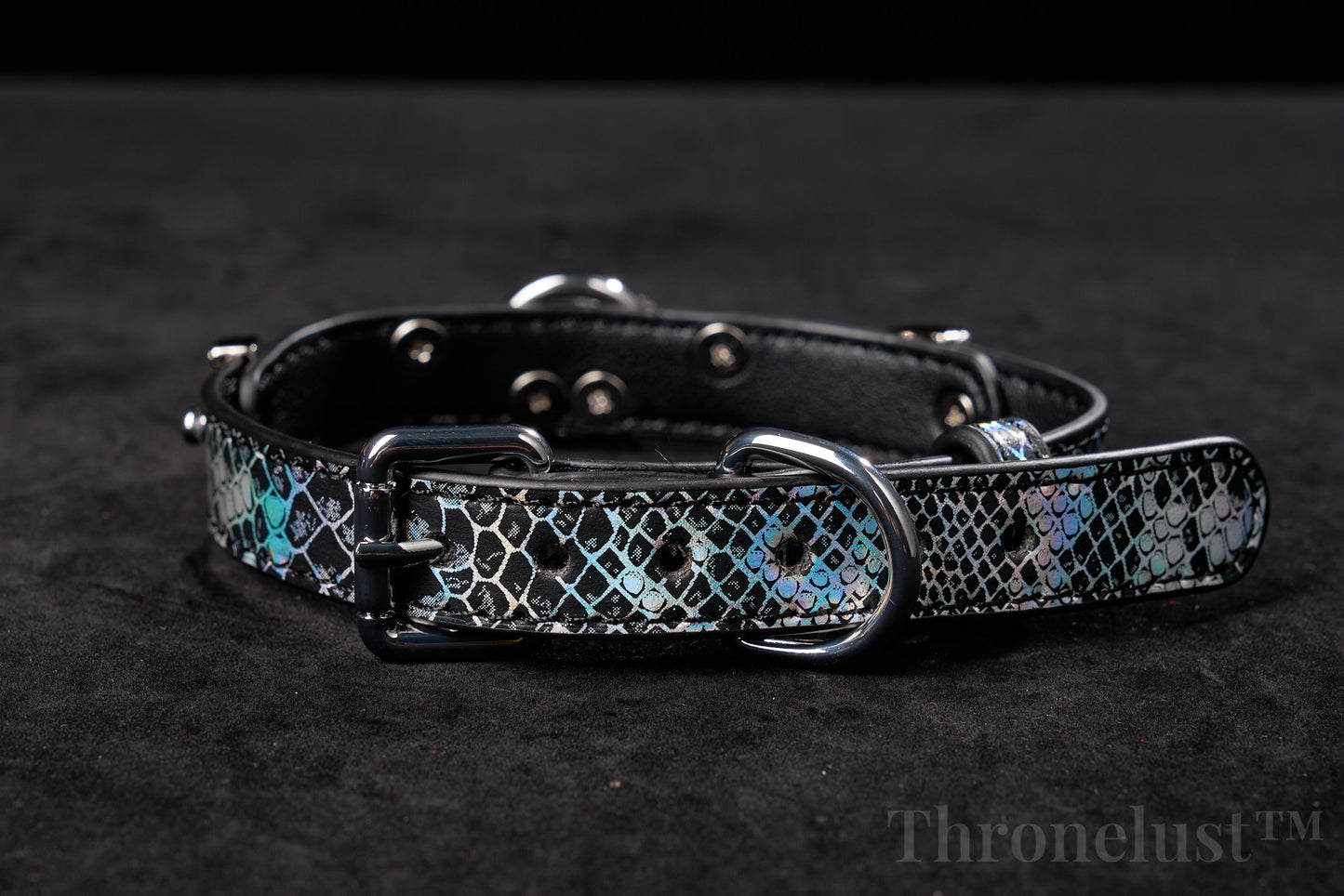 Snake-Pattern PU Leather Collar with Silver Chain Leash – Thronelust™ BDSM Puppy Play