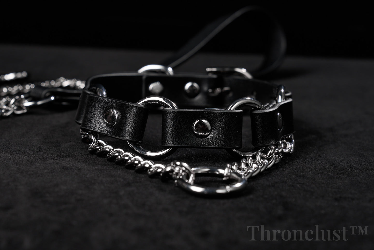 THRONELUST™ Obedience Set — 6-Piece Ritual Bundle (Black)